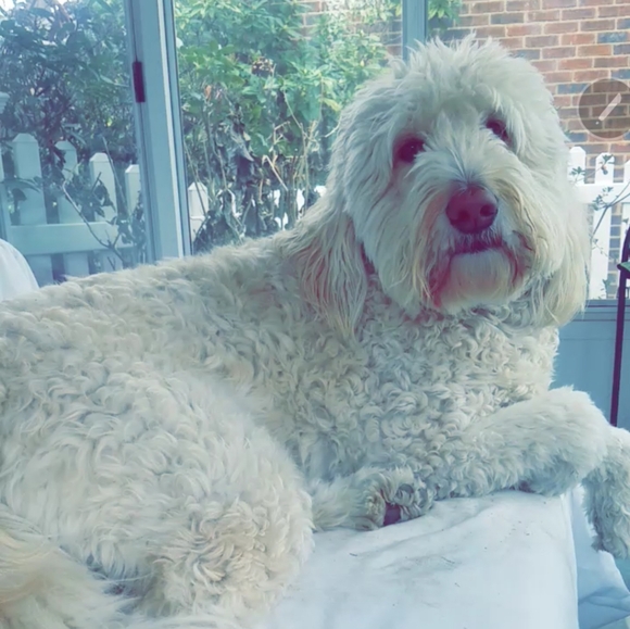 Like this listing to be notified when I go LIVE - Picture 4 of 11